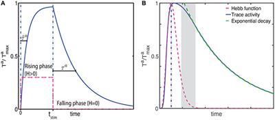 The Role of Multiple Neuromodulators in Reinforcement Learning That Is Based on Competition between Eligibility Traces